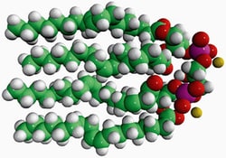 Chem-Impex International, Inc. Chloro-N,N,N',N'-tetramethylformamidinium