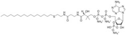 Chem-Impex International, Inc. Diacetone-D-glucose | 14686-89-6 | MFCD00005544 | 250G