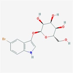 G-Biosciences 5-BROMO-3-INDOXYL-BETA-D-GALACTOPYRANOSIDE, 500MG, Quantity: