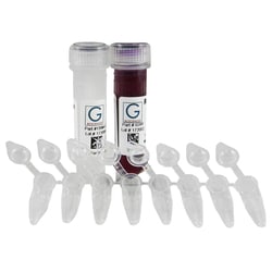 G-Biosciences RNASE-DETECT , 56 TESTS, Quantity: Each of 1