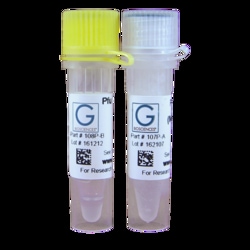 G-Biosciences PFU POLYMERASE, 500U, Quantity: Each of 1