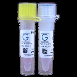 G-Biosciences PFU MASTERMIX [2X], 40 REACTIONS, Quantity: Each of 1