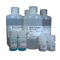 G-Biosciences BICINCHONINIC ACID (BCA) PROTEIN ASSAY, 500 ASSAYS/ 2500
