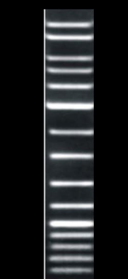 G-Biosciences DNAMARK 1KB PLUS MARKER, 50UG, Quantity: Each of 1