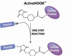 G-Biosciences ONEQUANT ACTIVEHOOK BSA, 8 X 2MG, Quantity: Pack of 8