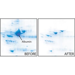 G-Biosciences ALBUMINOUT , 50 PREPS, Quantity: Each of 1