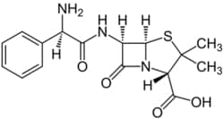 G-Biosciences AMPICILLIN , 5GRAM, Quantity: Each of 1