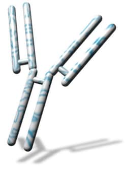 G-Biosciences FAB FRAGMENTATION KIT, 10 REACTIONS, Quantity: Each of 1