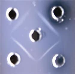 G-Biosciences ANTIGEN ANTIBODY INTERACTION, FOR 6 GROUPS OF 4-5 OR 24-30