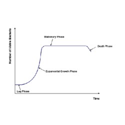 G-Biosciences BACTERIAL CULTURE & GROWTH STUDY, FOR 6 GROUPS OF 4-5 OR