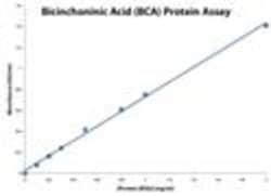 G-Biosciences BICINCHONINIC ACID (BCA) PROTEIN ASSAY, 500 ASSAYS/ 2500
