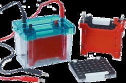 G-Biosciences Wet/ Tank Blotting System, Quantity: Each of 1