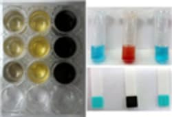 G-Biosciences THE RAMYLASE PROJECT: ASSAYING FOR AMYLASE ACTIVITY, 8 X