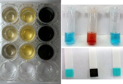 G-Biosciences THE RAMYLASE PROJECT: ASSAYING FOR AMYLASE ACTIVITY, 8 X