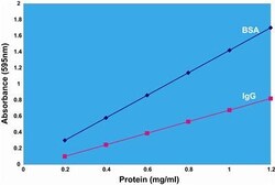 G-Biosciences CB PROTEIN ASSAY WITH ALBUMIN STANDARD, 500 ASSAYS, Quantity: