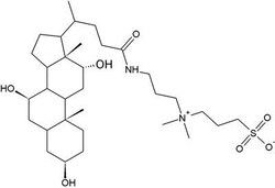 G-Biosciences CHAPS (3-(3-CHOLAMIDOPROPYL)DIMETHYLAMMONIO)-1-PROPANESULFONATE),