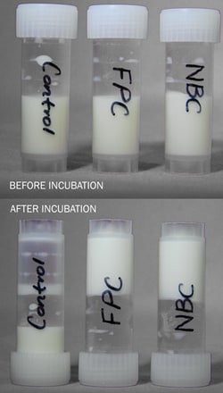G-Biosciences CHEESE PRODUCTION: THE EVOLUTION OF CHEESE-MAKING TECHNOLOGY,
