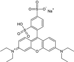 G-Biosciences CYTOSCAN SRB CYTOTOXICITY ASSAY, 1000 ASSAYS, Quantity: Each