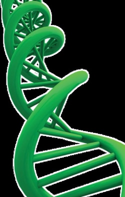 G-Biosciences PFU POLYMERASE, 500U, Quantity: Each of 1