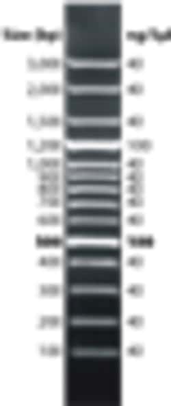 G-Biosciences DNAMARK 100BP PLUS LADDER, 50UG, Quantity: Each of 1