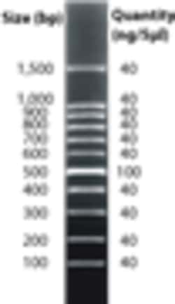 G-Biosciences DNAMARK 100BP LADDER, 50UG, Quantity: Each of 1