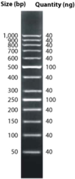 G-Biosciences DNAMARK 50BP PLUS, 50UG, Quantity: Each of 1