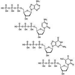 G-Biosciences DEOXYNUCLEOTIDE SET [100MM], 4 X 25µMOLE, Quantity: Each