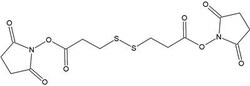 G-Biosciences DSP (DITHIOBIS(SUCCINIMIDYL PROPIONATE)), 1GRAM, Quantity: