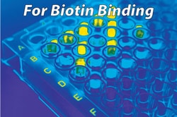 G-Biosciences WELL-COATED STREPTAVIDIN, 8-WELL STRIP PLATE, CLEAR, 5 PLATES,