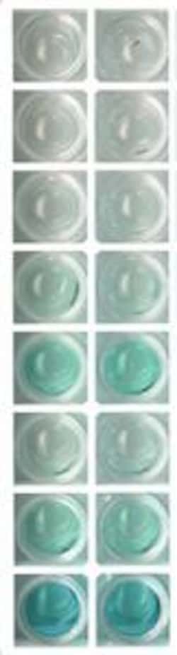 G-Biosciences IMMUNOQUANTIFICATION TECHNIQUE (ELISA), FOR 6 GROUPS OF 4-5