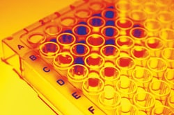 G-Biosciences WELL-COATED AMINE BINDING, 8 WELL STRIP PLATE, CLEAR, 5 PLATES,
