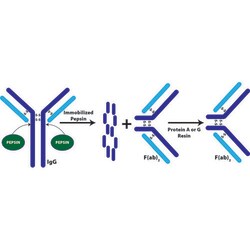 G-Biosciences F(AB)2 FRAGMENTATION KIT WITH PROTEIN G COLUMN, 10 REACTIONS,