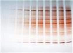 G-Biosciences FASTsilver Kit, 25 Mini Gels, Quantity: Each of 1