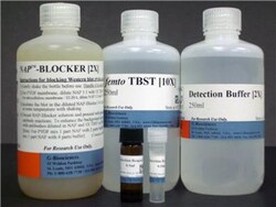 G-Biosciences FEMTOLUCENT PLUS-HRP CHEMILUMINESCENT REAGENTS ONLY, 200ML,