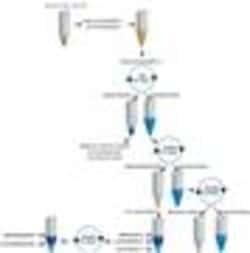 G-Biosciences FOCUS SUBCELL, 50 PREPS, Quantity: Each of 1