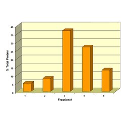 G-Biosciences PROTEIN FRACTIONATION, FOR 6 GROUPS OF 4-5 OR 24-30 STUDENTS,