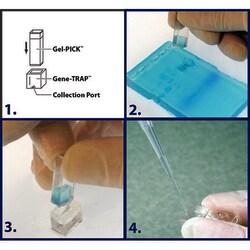 G-Biosciences G-CAPSULE Electroelution Device, 55, Quantity: Each of 1