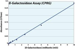 G-Biosciences Β-GALACTOSIDASE ASSAY (CPRG), KIT, Quantity: Each of 1