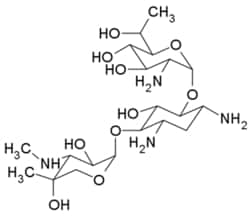 G-Biosciences GENETICIN, 1GRAM , Quantity: Each of 1