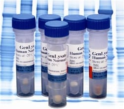 G-Biosciences HUMAN HEART LEFT VENTRICLE NORMAL GENLYSATE , 150µG, Quantity: