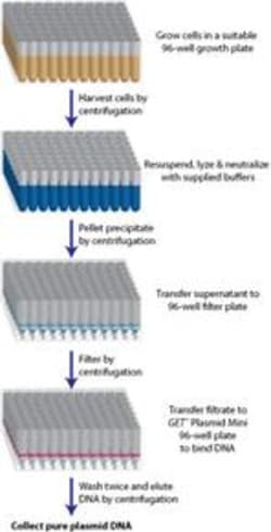 G-Biosciences GET PLASMID DNA 96-WELL, 4 X 96-WELL PLATES, Quantity: Pack