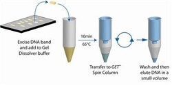 G-Biosciences GET AGAROSE DNA, 50 PREPS, Quantity: Each of 1