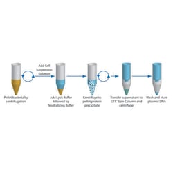 G-Biosciences THE RAMYLASE PROJECT: USING A MINIPREP KIT FOR PLASMID ISOLATION,