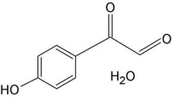 G-Biosciences P-HYDROXYPHENYL GLYOXAL, 100MG, Quantity: Each of 1