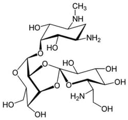 G-Biosciences HYGROMYCIN B, 1GRAM , Quantity: Each of 1
