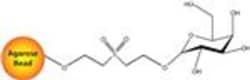 G-Biosciences IMMOBILIZED D-GALACTOSE, 5ML RESIN, Quantity: Each of 1