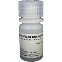 G-Biosciences IMMOBILIZED BIOTIN, 5ML RESIN, Quantity: Each of 1