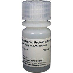 G-Biosciences PROTEIN A RESIN, 5ML RESIN, Quantity: Each of 1