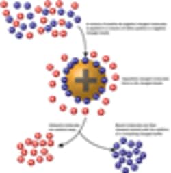 G-Biosciences THE RAMYLASE PROJECT: USING ION EXCHANGE CHROMATOGRAPHY TO