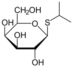 G-Biosciences IPTG (MOLECULAR BIOLOGY GRADE)(ISOPROPYL Β-D-1-THIOGALACTOPYRANOSIDE),